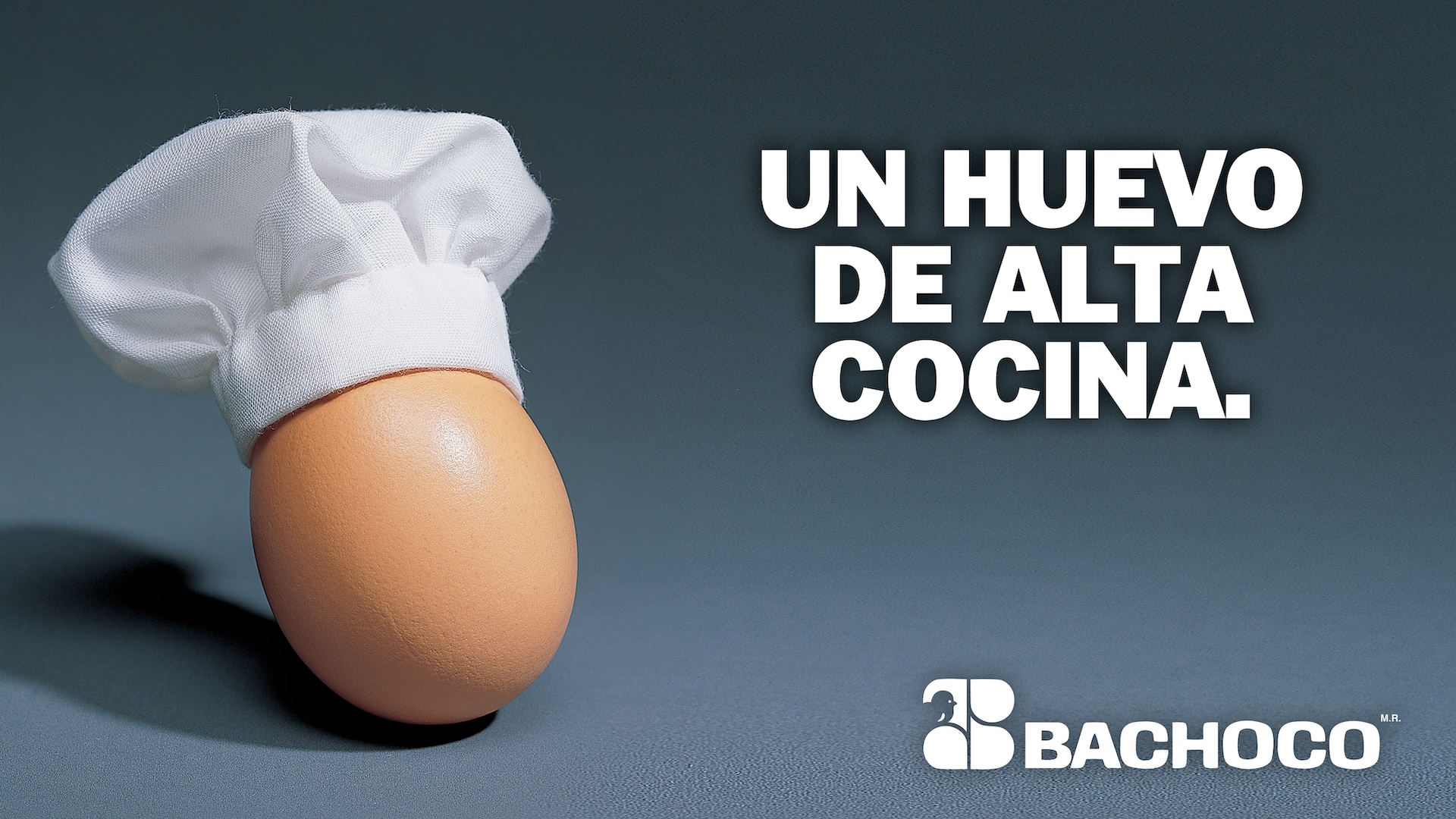 Carteleras UN HUEVO DE ALTA COCINA