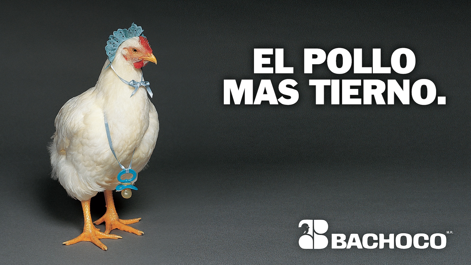 Carteleras EL POLLO MAS TIERNO